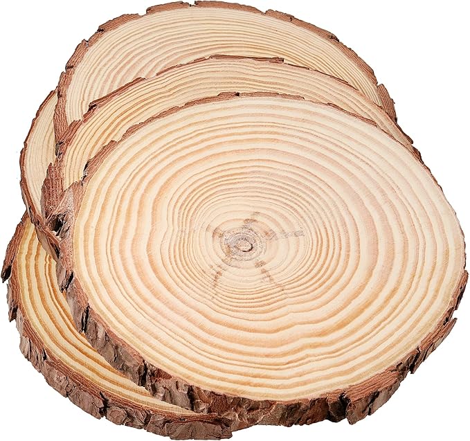 JEUIHAU 10 PCS 6.7-7 Inches Natural Unfinished Wood Slices, Round Wooden Tree - Image 5