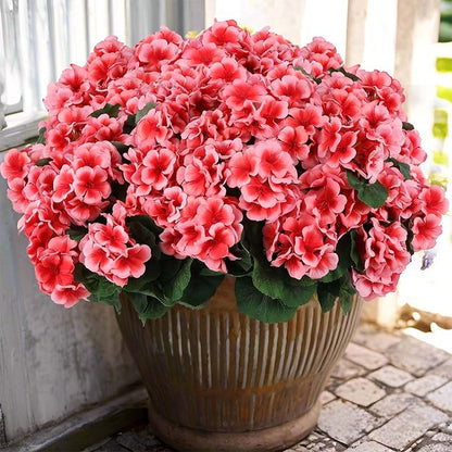 Hananona Artificial Geranium Flowers by HANANONA