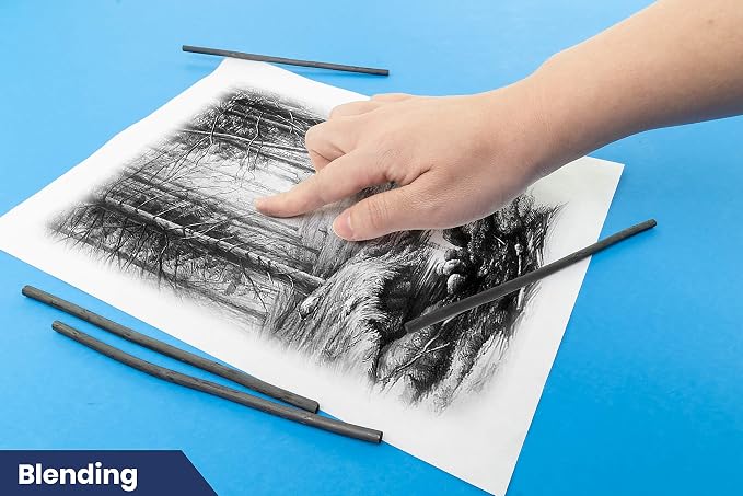 Pacific Arc Artist Vine Charcoal, Artist Vine Charcoal Sticks, Extra Soft and - Image 5