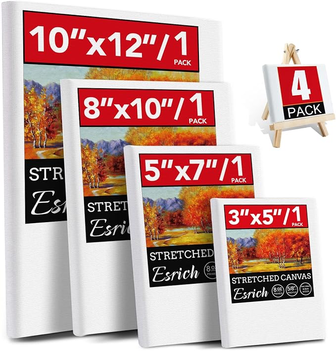 4 Packs Stretched Canvases for Painting by ESRICH