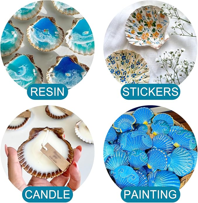 20PCS Natural Scallop Shells for Crafts & Baking - Image 6