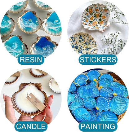 20PCS Natural Scallop Shells for Crafts & Baking - Image 6