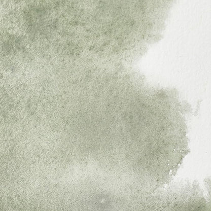 Winsor & Newton Professional Water Colour Paint, Half Pan, Davy's Gray - Image 2