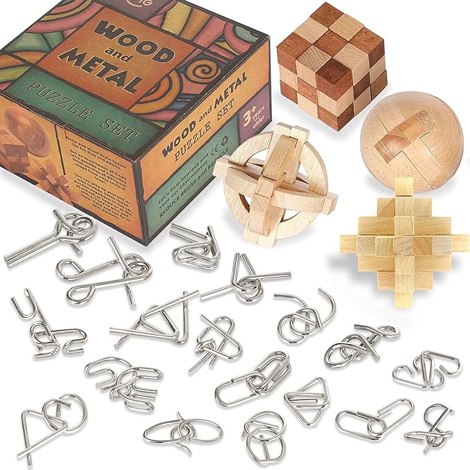 Brain Teasers Metal Puzzles for Kids & Adult 22Pack, Logic and IQ Game Test Toy by LESONG