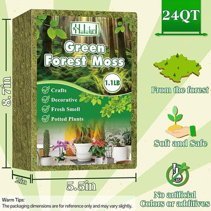 Halatool 1.1LB Green Moss for Potted Plants, 25QT Orchid Moss Potting Mix - Image 2