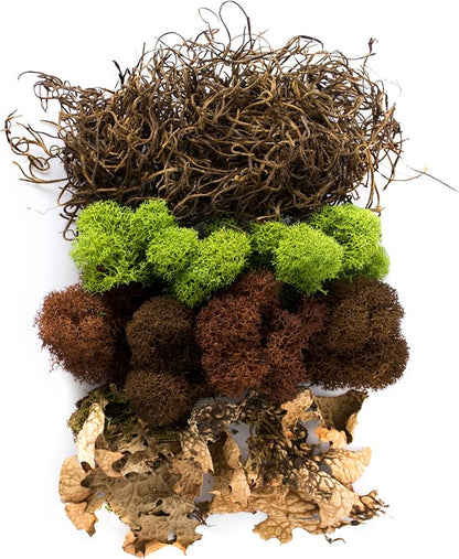 SuperMoss Moss Mix – Premium Decorative Moss - Image 2