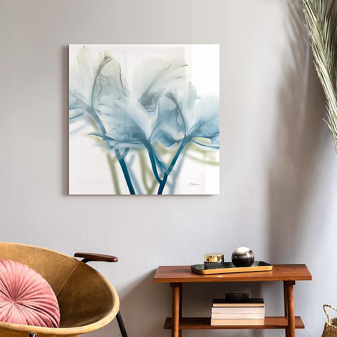 Empire Art Direct Frameless Free Floating Tempered Glass Panel Graphic Wall Art by EmpireArtDirect