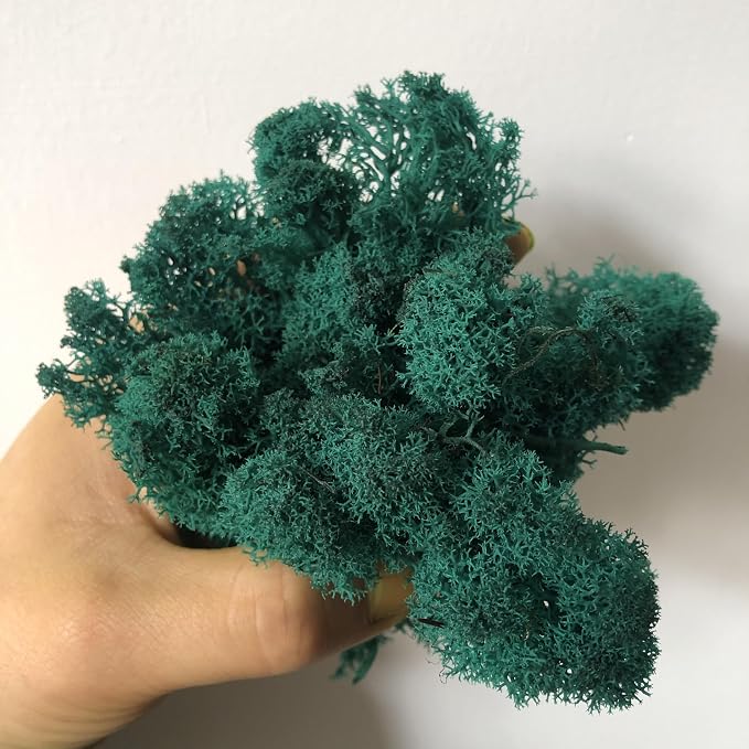 Preserved Reindeer Moss Natural Green DIY Kit Gardenning Art Wall Decor Florist - Image 7