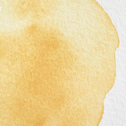 Winsor & Newton Professional Water Colour Paint, Half Pan, Naples Yellow - Image 2