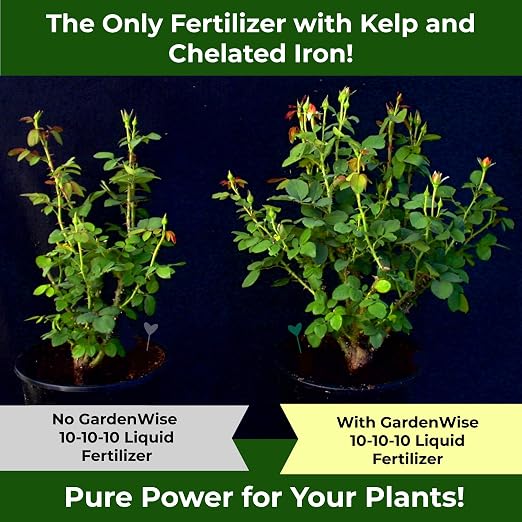 10-10-10 All Purpose Plant Food - Image 3