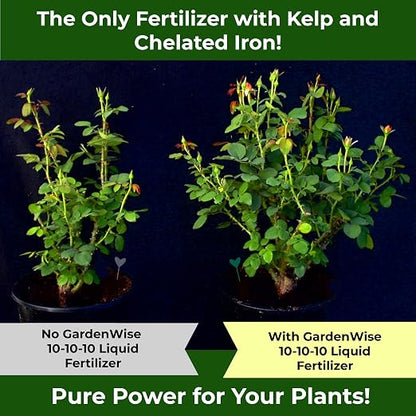 10-10-10 All Purpose Plant Food - Image 3