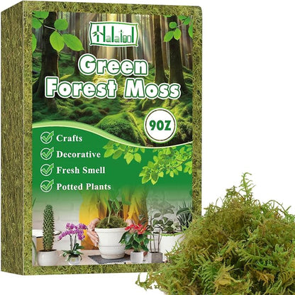 Halatool 9OZ Green Moss for Potted Plants, 12QT Orchid Moss Potting Mix by HALATOOL