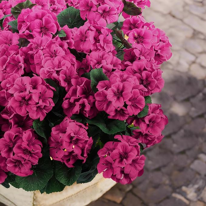 Hananona Artificial Geranium Flowers - Image 6