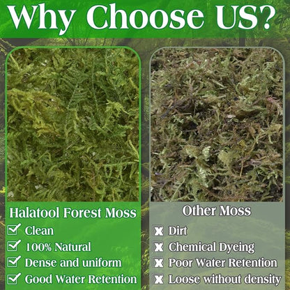 Halatool 6OZ Green Moss for Indoor Plants, 8QT Orchid Moss for Repotting - Image 7