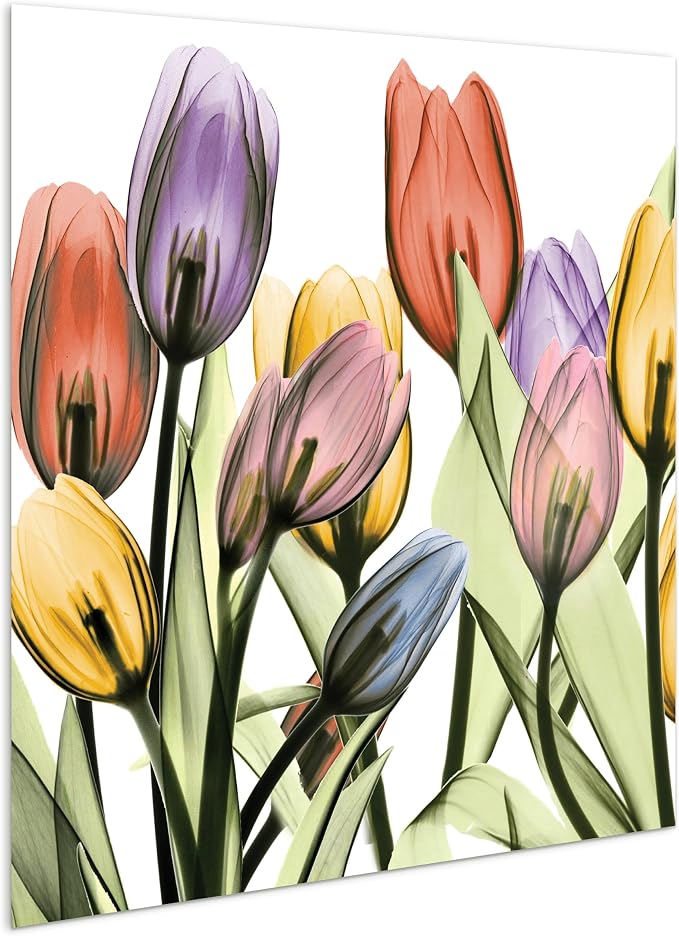 Empire Art Direct Frameless Free Floating Tempered Glass Panel Graphic Wall Art - Image 2