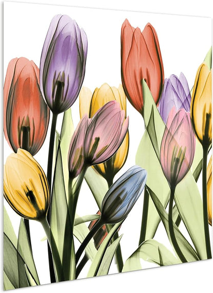 Empire Art Direct Frameless Free Floating Tempered Glass Panel Graphic Wall Art - Image 2