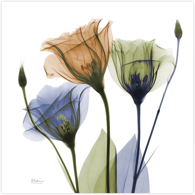 Empire Art Direct Frameless Free Floating Tempered Glass Panel Graphic Wall Art - Image 3