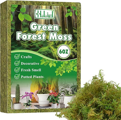 Halatool 6OZ Green Moss for Indoor Plants, 8QT Orchid Moss for Repotting by HALATOOL