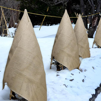Garden Burlap Roll, Seed Cover, Weed Barrier, Aisle Runner Plant Cover Tree - Image 7