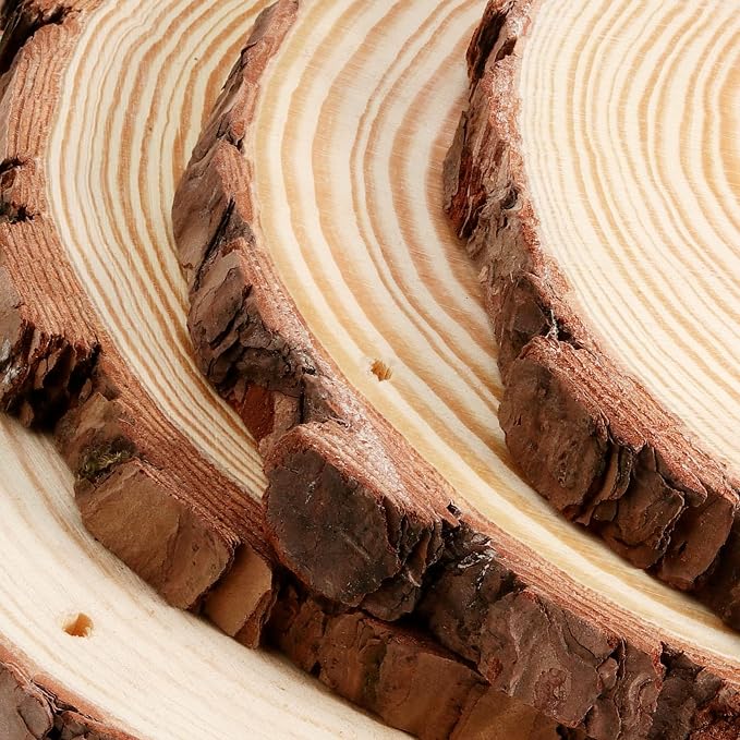 JEUIHAU 12 PCS 5.5-5.9 Inches Natural Wood Slices - Image 3