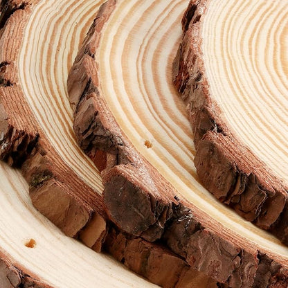 JEUIHAU 12 PCS 5.5-5.9 Inches Natural Wood Slices - Image 3