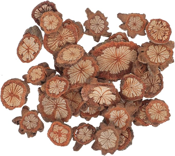 GALPADA Christmas Tree Bark Wood Slices Xmas Ornaments Mini Natural Vintage by GALPADA