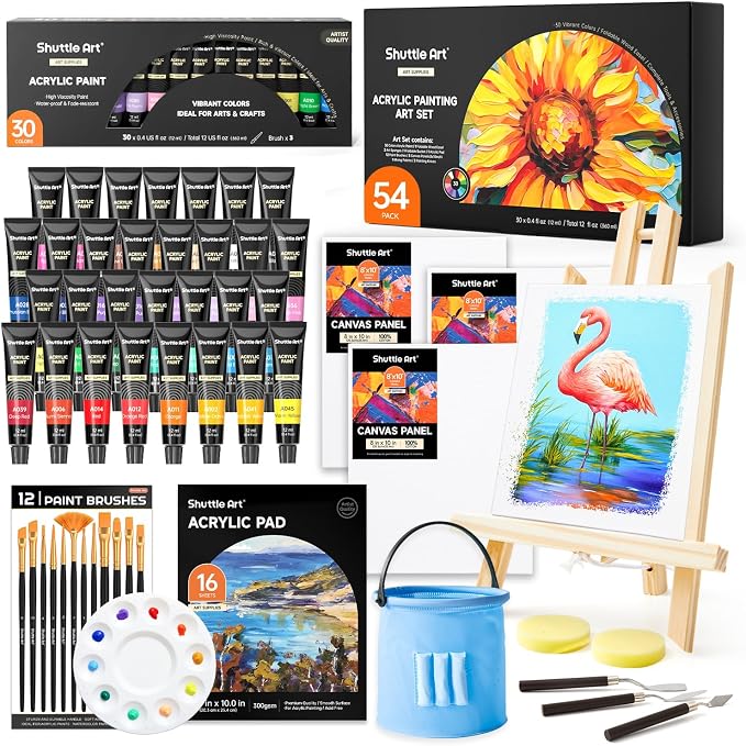 Shuttle Art 54 Pack Acrylic Paint Set, Acrylic Painting Set by ShuttleArt