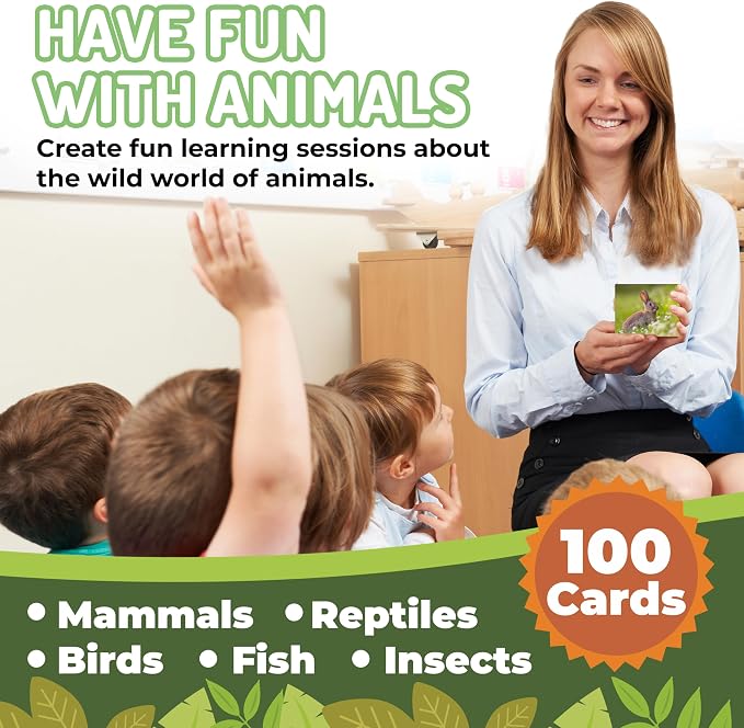 100 Animal, Insect & Ocean Creatures Flash Cards, Realistic Pictures - Image 5