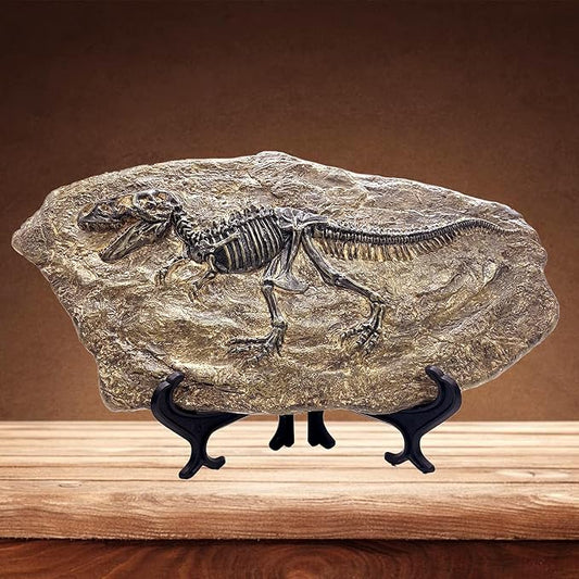 XINDAM Resin Tyrannosaurus Rex Dinosaur Fossil Statue Model Simulated Skeleton by XINDAM