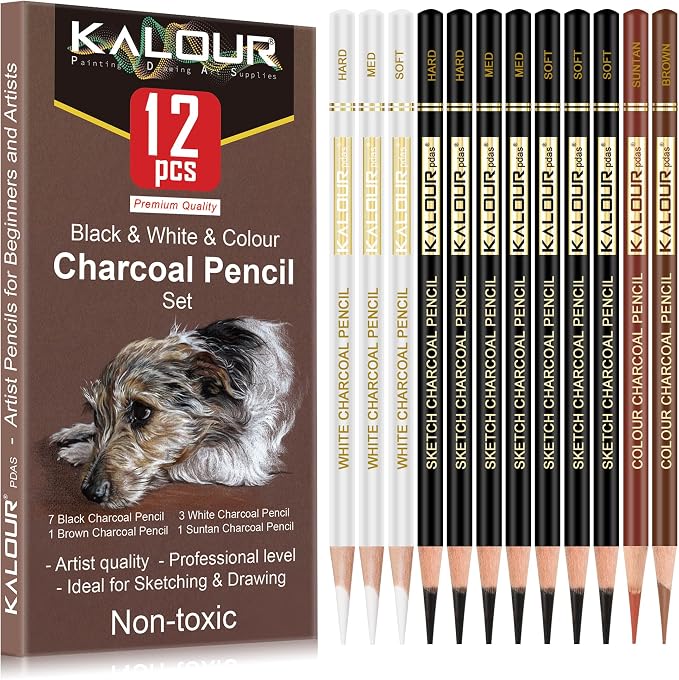 KALOUR Pro Colored Charcoal Drawing Set, 12 Pieces Pastel Chalk Pencils by KALOUR