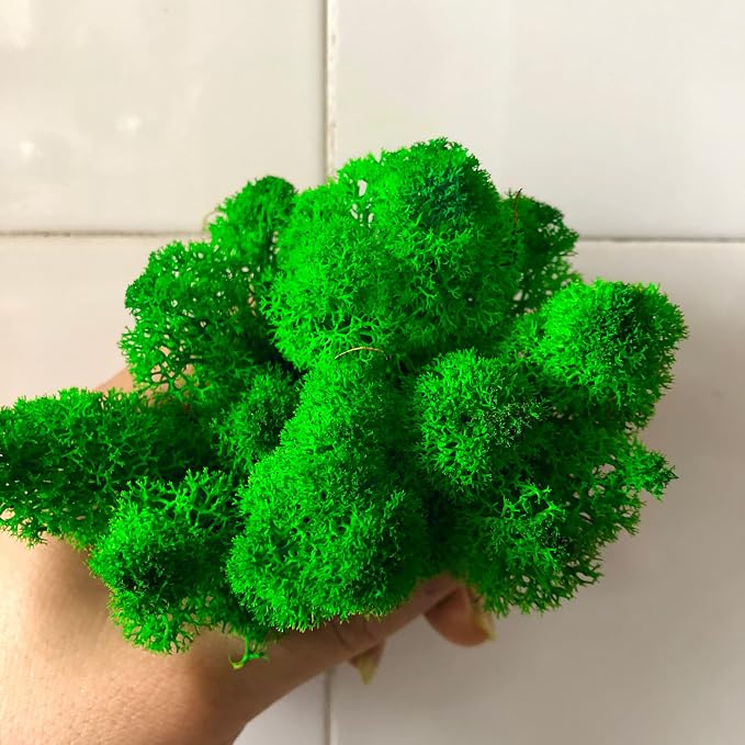 Preserved Reindeer Moss Natural Green DIY Kit Gardenning Art Wall Decor Florist - Image 3