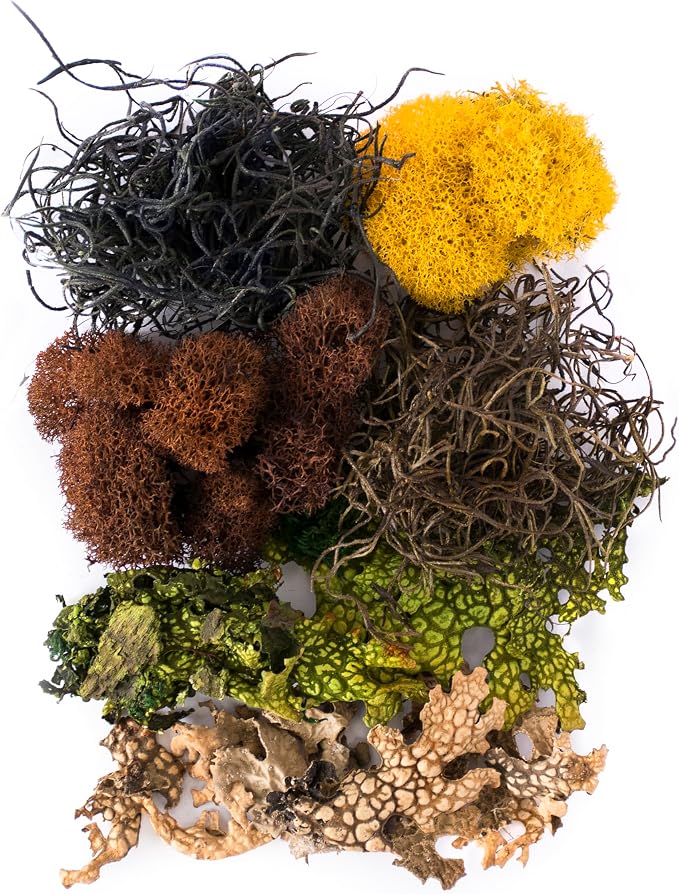 SuperMoss Moss Mix – Premium Decorative Moss - Image 2