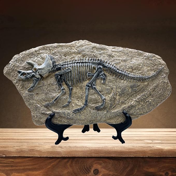 XINDAM Resin Triceratops Dinosaur Fossil Statue Model Simulated Skeleton Home by XINDAM