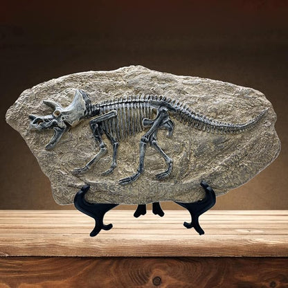 XINDAM Resin Triceratops Dinosaur Fossil Statue Model Simulated Skeleton Home by XINDAM