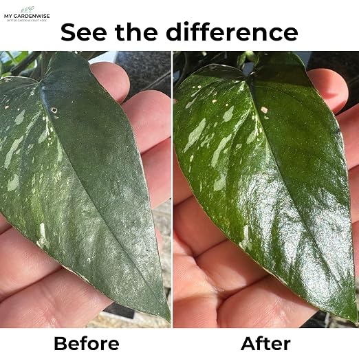 Leaf Shine Spray for Indoor Plants – Plant Leaf Cleaner & Shine for Real House - Image 5