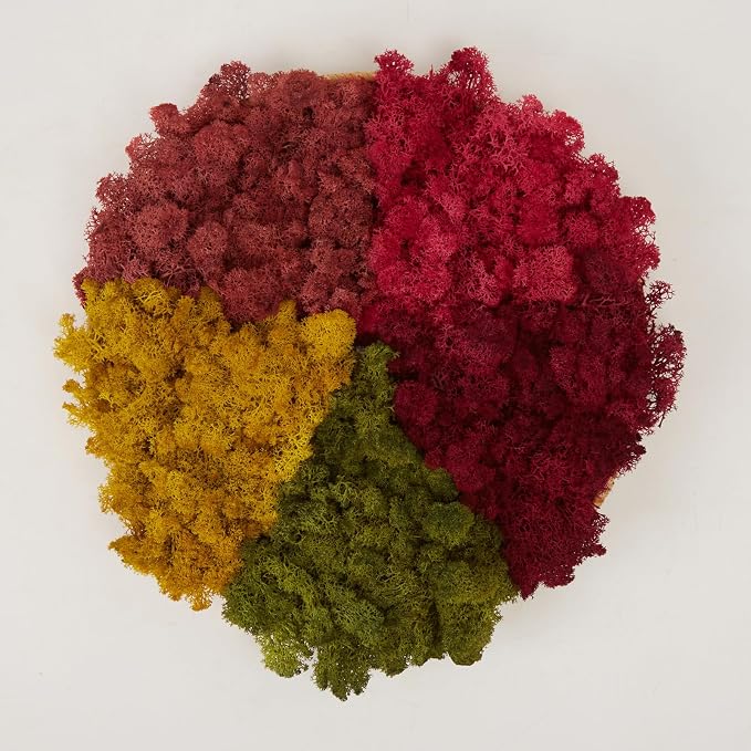 Preserved Reindeer Moss Natural Green DIY Kit Gardenning Art Wall Decor Florist by %E7%8E%B0%E5%9C%A8%E8%B4%AD%E4%B9%B0