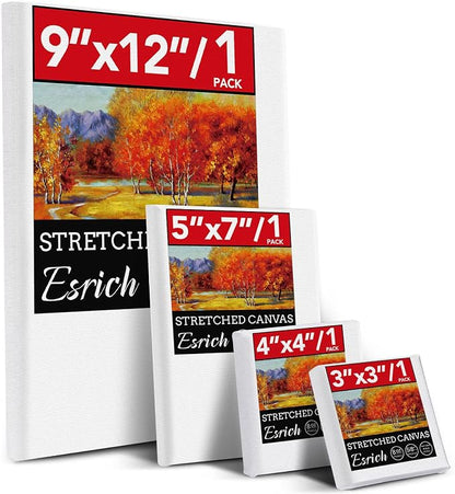 ESRICH 4 Pack Stretched Canvas for Painting by ESRICH