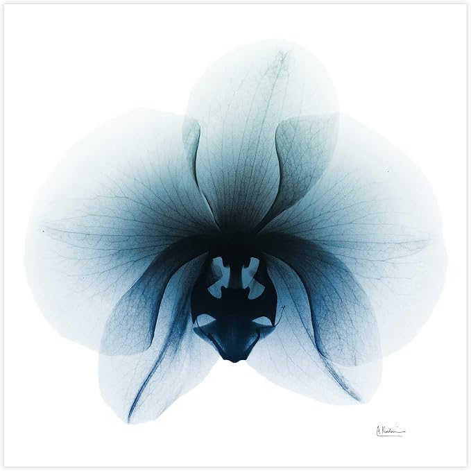 Empire Art Direct Frameless Free Floating Tempered Glass Panel Graphic Wall Art - Image 3