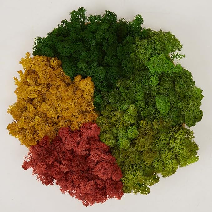 Preserved Reindeer Moss Natural Green DIY Kit Gardenning Art Wall Decor Florist by %E7%8E%B0%E5%9C%A8%E8%B4%AD%E4%B9%B0