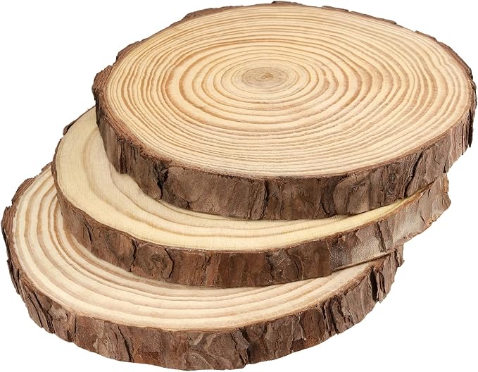 JEUIHAU 6 PCS 8-10 Inches Natural Unfinished Wood Slices, Round Wooden Tree - Image 4