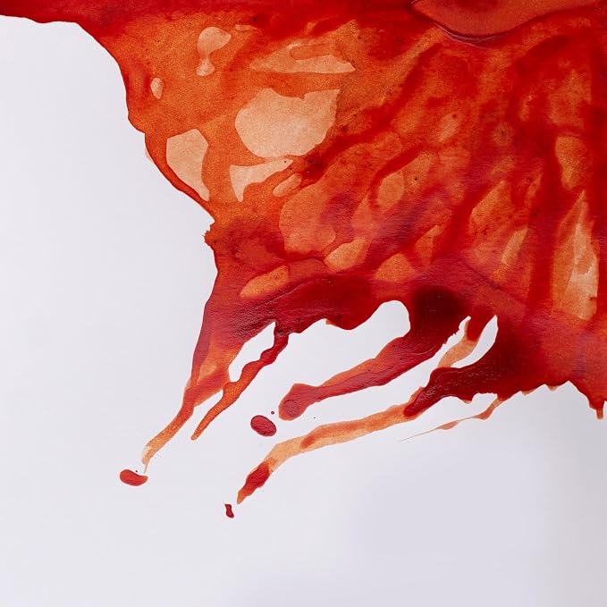 Winsor & Newton Drawing Ink, 14ml Bottle, Burnt Sienna - Image 2