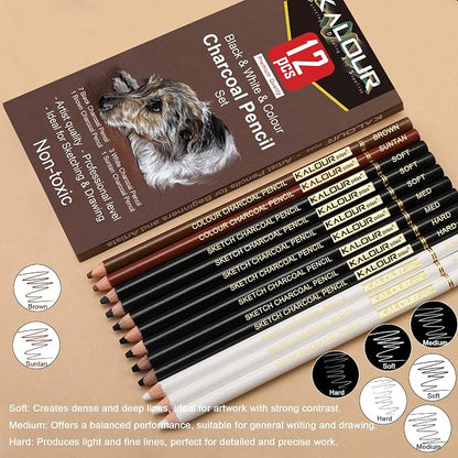 KALOUR Pro Colored Charcoal Drawing Set, 12 Pieces Pastel Chalk Pencils - Image 2