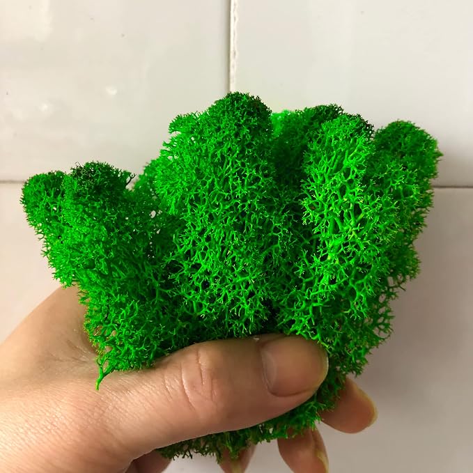 Preserved Reindeer Moss Natural Green DIY Kit Gardenning Art Wall Decor Florist - Image 4