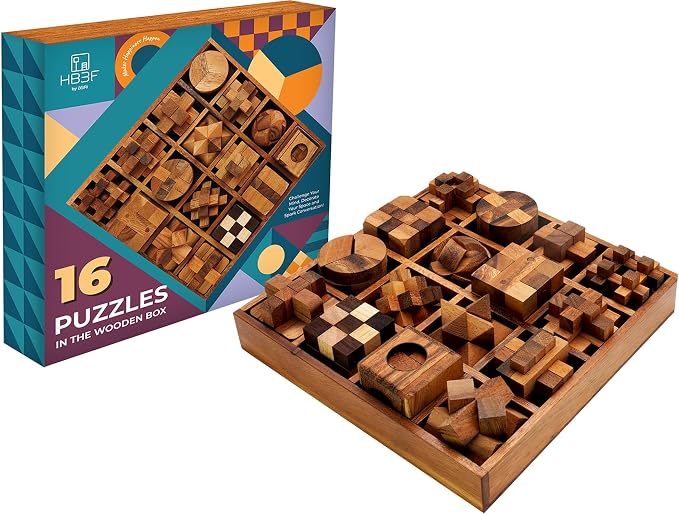 BSIRI 16 in 1 Wooden Brain Teaser Puzzles by HB3FbyBSIRI