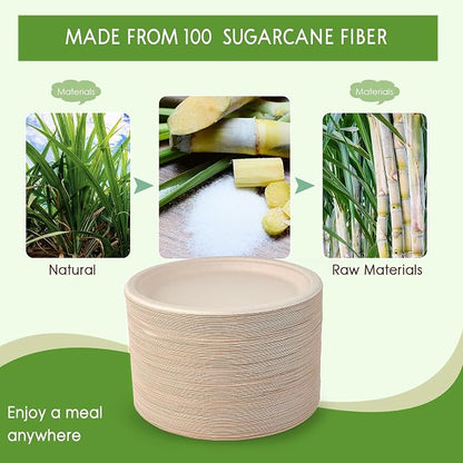 Vplus 500 Pack Compostable Disposable Paper Plates 10.25 inch Super Strong - Image 5