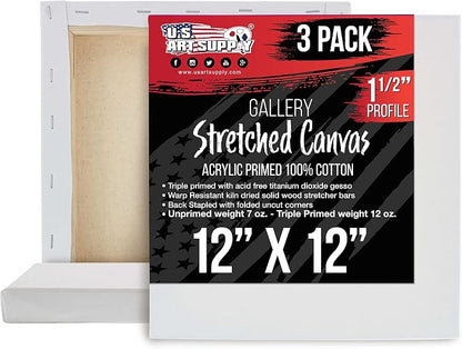 U.S. Art Supply Square Stretched Canvas by USArtSupply