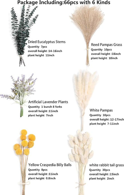 Serra Flora Natural Dried Pampas Eucalyptus Rabbit Tail Grass, - Image 3
