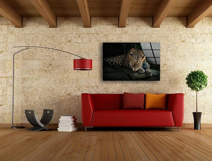 My Photostation.com 20Wx14H'' Fierce Leopard Glass Wall ArtTempered Glass - Image 6