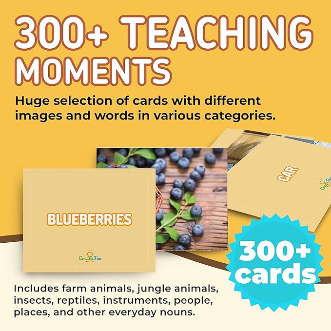 300 Noun Vocabulary Builder Flash Cards, Photo Cards - Image 4