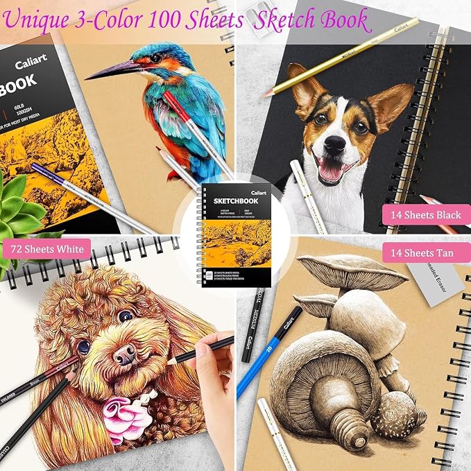 Caliart 176PCS Art Supplies Sketching Kit - Image 2